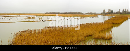 Panoramablick über Tennyson See bei Gibraltar Point Skegness an einem nebligen Tag Stockfoto