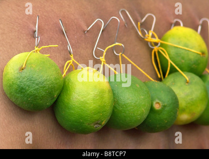 Hindu Anhänger mit Limetten angeschlossen, um seinen Körper während Thaipusam, Singapur Stockfoto