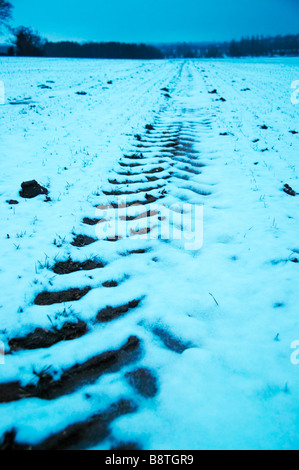 Spuren im Schnee von einem Bauern-Feld Stockfoto