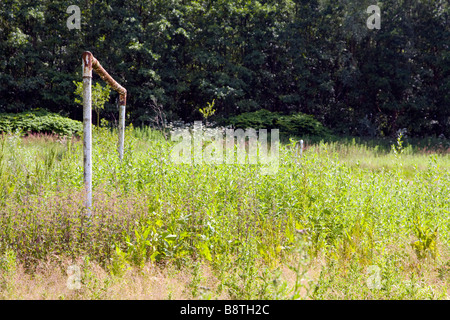 Rostige alte Torpfosten auf einem überwucherten Fußballplatz (Fußball). Stockfoto