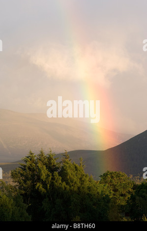 Regenbogen über den Lairig Ghru Pass über Rothiemurchus Forest in den Cairngorms, Schottland angesehen. Stockfoto