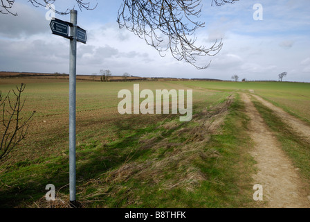 Eine eingeschränkte Byway, Lincolnshire, England. Stockfoto