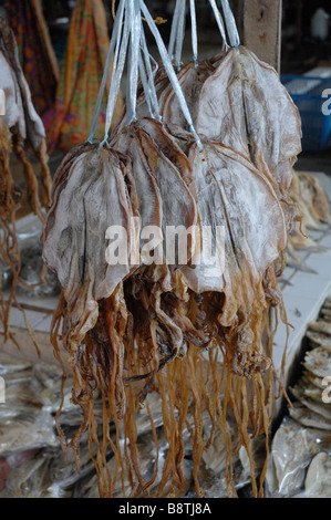 Getrockneten Tintenfisch in Stall getrocknet Fischmarkt Semporna Sabah Malaysia Borneo Süd-Ost-Asien Stockfoto