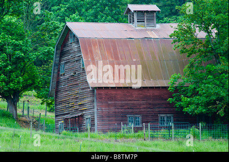 Alte rote Scheune inmitten einer grünen Landschaft Stockfoto