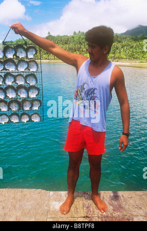 Ein Mann hält den Käfig der Muscheln auf einem schwarzen Perle Bauernhof in Französisch-Polynesien Stockfoto
