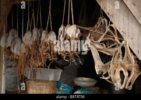 Getrocknete Fische Stall Semporna Sabah Malaysia Borneo Süd-Ost-Asien Stockfoto