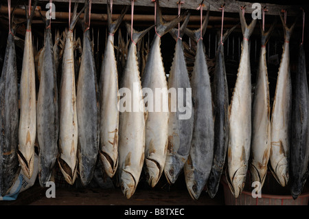 Getrockneten Thunfisch Aufhängen in Markt stall getrockneter Fischmarkt Semporna Sabah Malaysia Borneo Süd-Ost-Asien Stockfoto