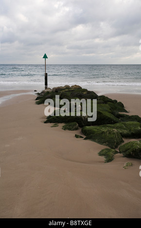 Alten Buhnen an Sandbänken Strand Poole Dorset, Großbritannien Stockfoto