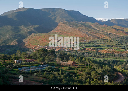 Vallée de Zat (hoher Atlas, Marokko). Stockfoto