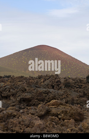 Flecken von Grün wächst auf einem Vulkan in Lanzarotes Timanfaya Nationalpark, Kanarische Inseln, Spanien. Stockfoto