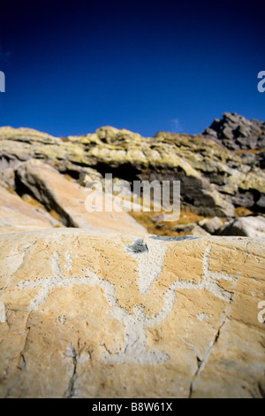 Graved Felsen in der Vallée des Merveilles im Alter zwischen 2500-3000 Jahre vor J.C (Bronzezeit) Stockfoto