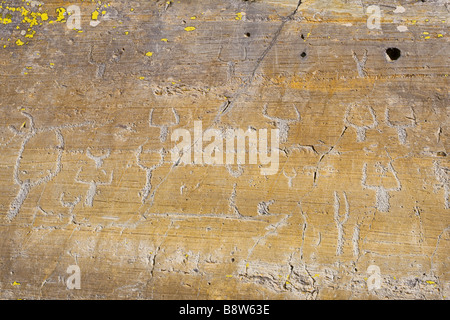 Graved Felsen in der Vallée des Merveilles im Alter zwischen 2500-3000 Jahre vor J.C (Bronzezeit) Stockfoto