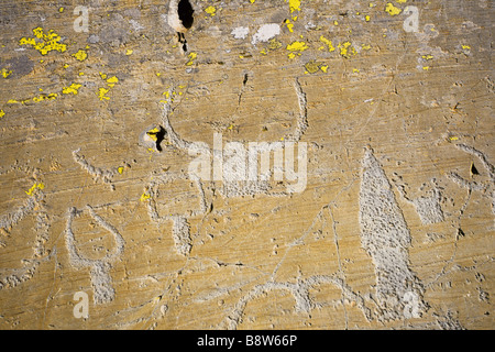 Graved Felsen in der Vallée des Merveilles im Alter zwischen 2500-3000 Jahre vor J.C (Bronzezeit) Stockfoto