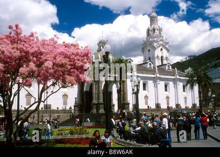 Metropolitan-Kathedrale in der Independence Platz in der alten Quito Pinchincha Provinz Stockfoto