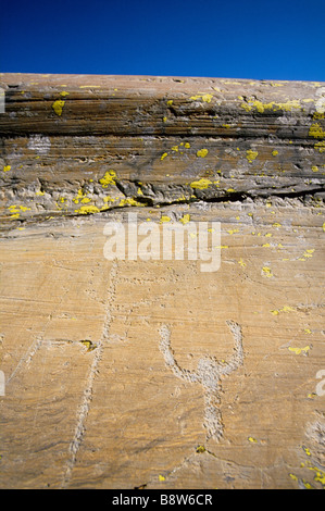 Graved Felsen in der Vallée des Merveilles im Alter zwischen 2500-3000 Jahre vor J.C (Bronzezeit) Stockfoto