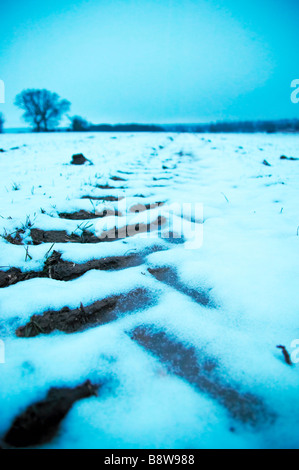 Spuren im Schnee von einem Bauern-Feld Stockfoto