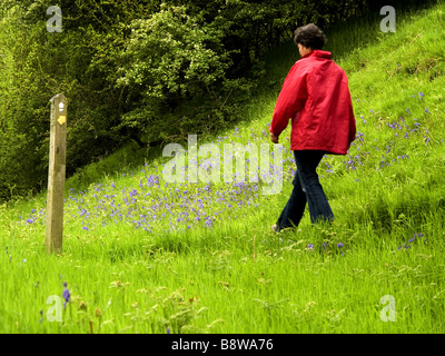 Weibliche Walker auf Offa s Dyke Garbett The Marches Shropshire England UK Stockfoto