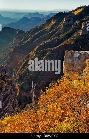 USA, Arizona, Grand Canyon NP. Sunrise-Lämpchen zeigt Herbst Farbe in Nankoweap Canyon. Stockfoto