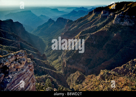 USA Arizona Grand Canyon NP Sunrise Lichtshows Herbst Farbe in Nankoweap Canyon Stockfoto