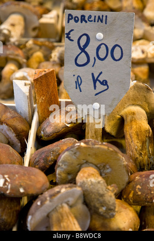 Pilze zum Verkauf in der Mercato Centrale (Central Market)-Florenz, Italien. Stockfoto