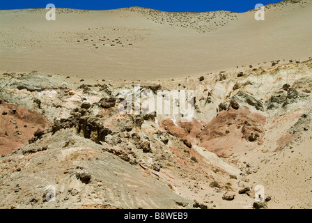 Reserva Provincial Las Vicuñas Stockfoto
