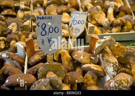 Pilze zum Verkauf in der Mercato Centrale (Central Market)-Florenz, Italien. Stockfoto