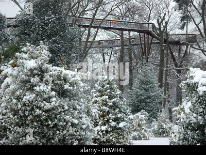Schneebedeckte Ansicht der Baumkronenpfad in Kew Gardens (Royal Botanic Gardens) Stockfoto