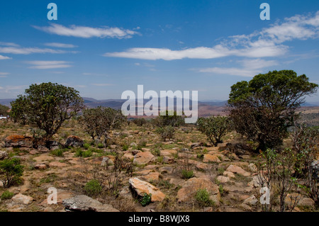 Blyde River Canyon Südafrika Stockfoto