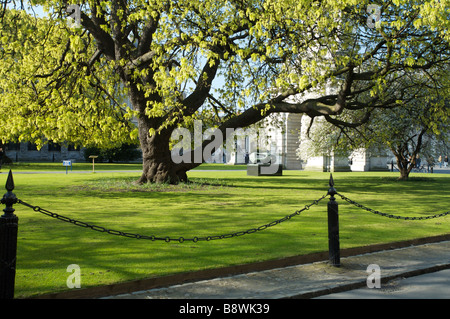 Trinity College Dublin Irland Stockfoto