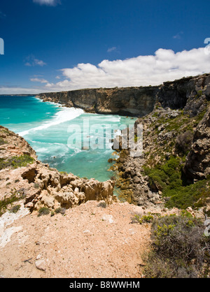 Der Leiter der Great Australian Bight Nullarbor Stockfoto