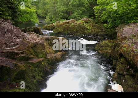 Fluß Brathay Skelwith Kraft Langdale Lake District Nationalpark Cumbria County England UK Stockfoto