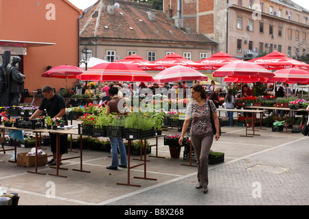 Blumen zum Verkauf an Dolac Markt in Zagreb Kroatien Stockfoto