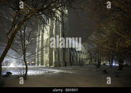 Beverley Minster Teppichboden im Schnee East Yorkshire UK Stockfoto