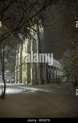 Beverley Minster Teppichboden im Schnee East Yorkshire UK Stockfoto