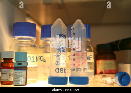 Proben und Reagenzgläser in Kühlschrank, Istituto di Ricerche Farmacologiche Mario Negri, Mailand, Italien Stockfoto