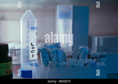 Proben und Reagenzgläser in Kühlschrank, Istituto di Ricerche Farmacologiche Mario Negri, Mailand, Italien Stockfoto