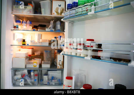 Proben und Reagenzgläser in Kühlschrank, Istituto di Ricerche Farmacologiche Mario Negri, Mailand, Italien Stockfoto