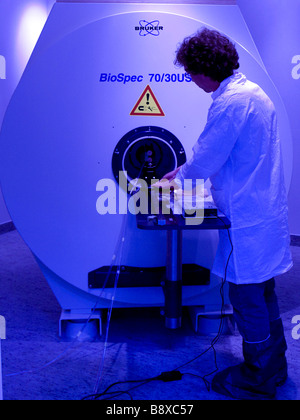 Magnet-Resonanz für Anilamls, Istituto di Ricerche Farmacologiche Mario Negri, Mailand, Italien Stockfoto