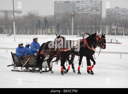 Berühmte russische Pferd Trio "Troika" Stockfoto