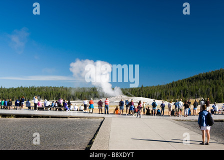 Touristen warten auf Old Faithful Geysir im Yellowstone-Nationalpark ausbrechen Stockfoto