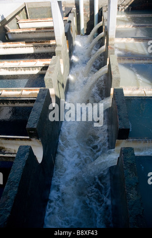 Israel unteren Galiläa Wette Netofa Tal Eschkol zentrale Filtration Pflanze Mekorot National Water Carrier Januar 2009 Stockfoto