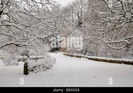 Überblick über Cotswold Buchenwälder im Tiefschnee Stockfoto