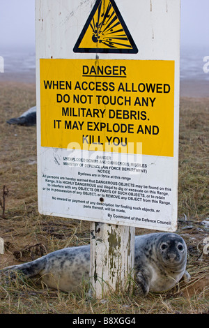 Grey Seal (Halichoerus Grypus) Pup auf RAF Bombardierung Bereich verwendet als Diskussionen Bereich für Robben - dargestellt durch Schild Warnung vor Gefahr - UK Stockfoto