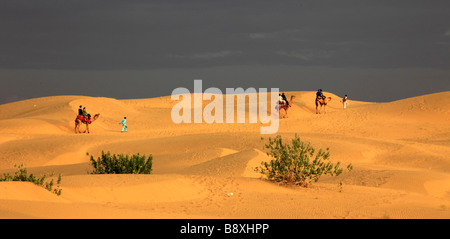 Indien Rajasthan Wüste Thar Sam Sanddünen Menschen auf Kamelen Stockfoto