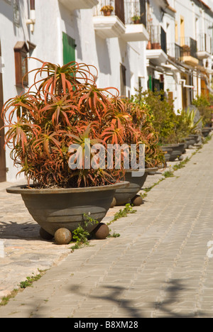 San Juan Bautista (Sant Joan) wichtigsten Straßenansicht, Ibiza, Spanien Stockfoto