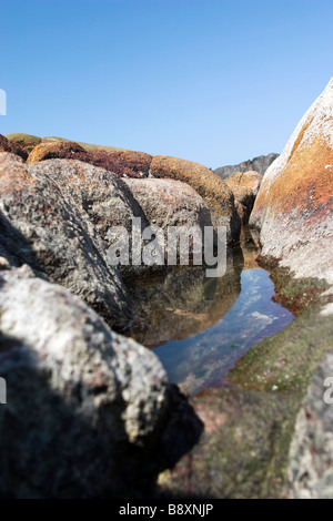 Creek-Stream zwischen großen Felsen. Stockfoto