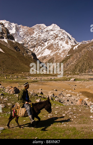 Mann auf einem Esel Fan Berge, Pamir, Tadschikistan, Asien. Stockfoto