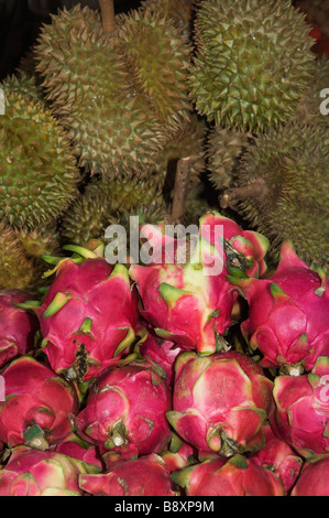 Durian und Dragon Früchte in einem Markt, Siem Reap, Kambodscha Stockfoto