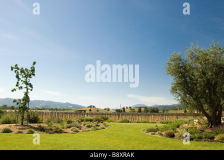 Weingut in Kalifornien Stockfoto