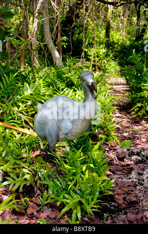 Dodo Raphus Cucullatus, Ile aux Aigrettes Naturschutzgebiet, Mauritius Insel Stockfoto